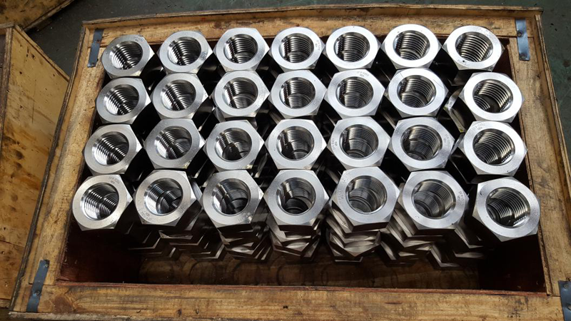 M56 hex nut of singoli project of Voith company
